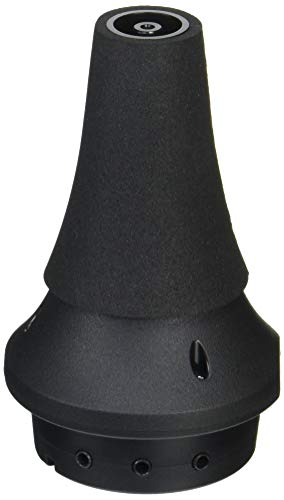 Amazon | BEST BRASS ベストブラス イーブラス IV トランペット用
